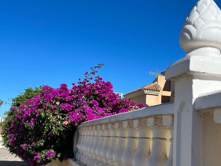 Club Salino 18 Lejlighed Torrevieja Eksteriør billede